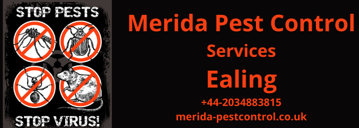 Pest Control Ealing-- We Are Utilizing Advanced Pest Control Techniques For Permanent Pest Removal