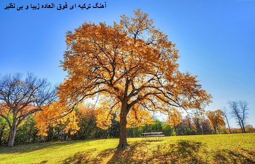  دانلود آهنگ ترکیه ای زیبای bagdat با صدای ayla celik آیلا چلیک
