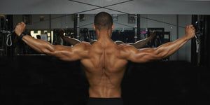 The Best Back Training Workouts For Beginners