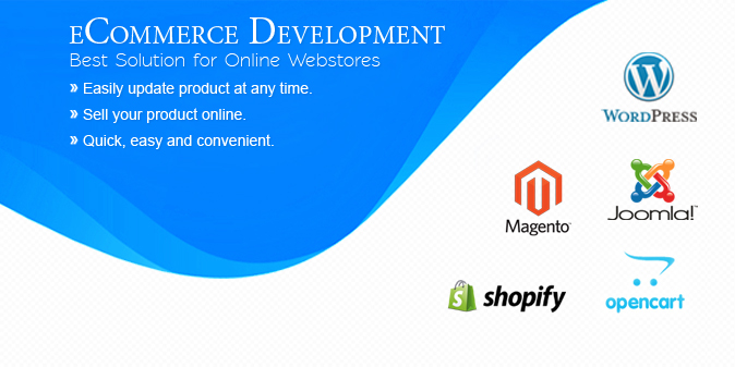 Ecommerce Development Services Offer By Ray Software Solution