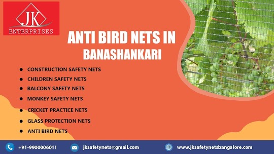 Bird Safety Nets in Banashankari