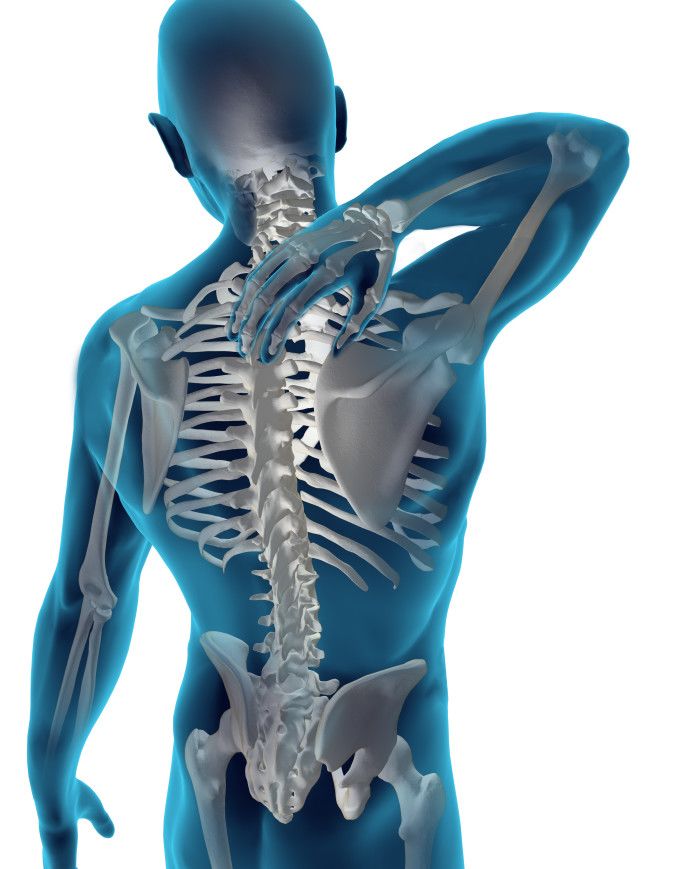 Chiropractor Pensacola FL