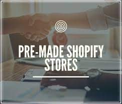 Ready Made Dropshipping Website For Sale