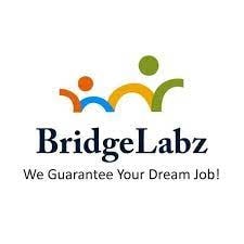 Remote Working Software Jobs | Java Developer Jobs