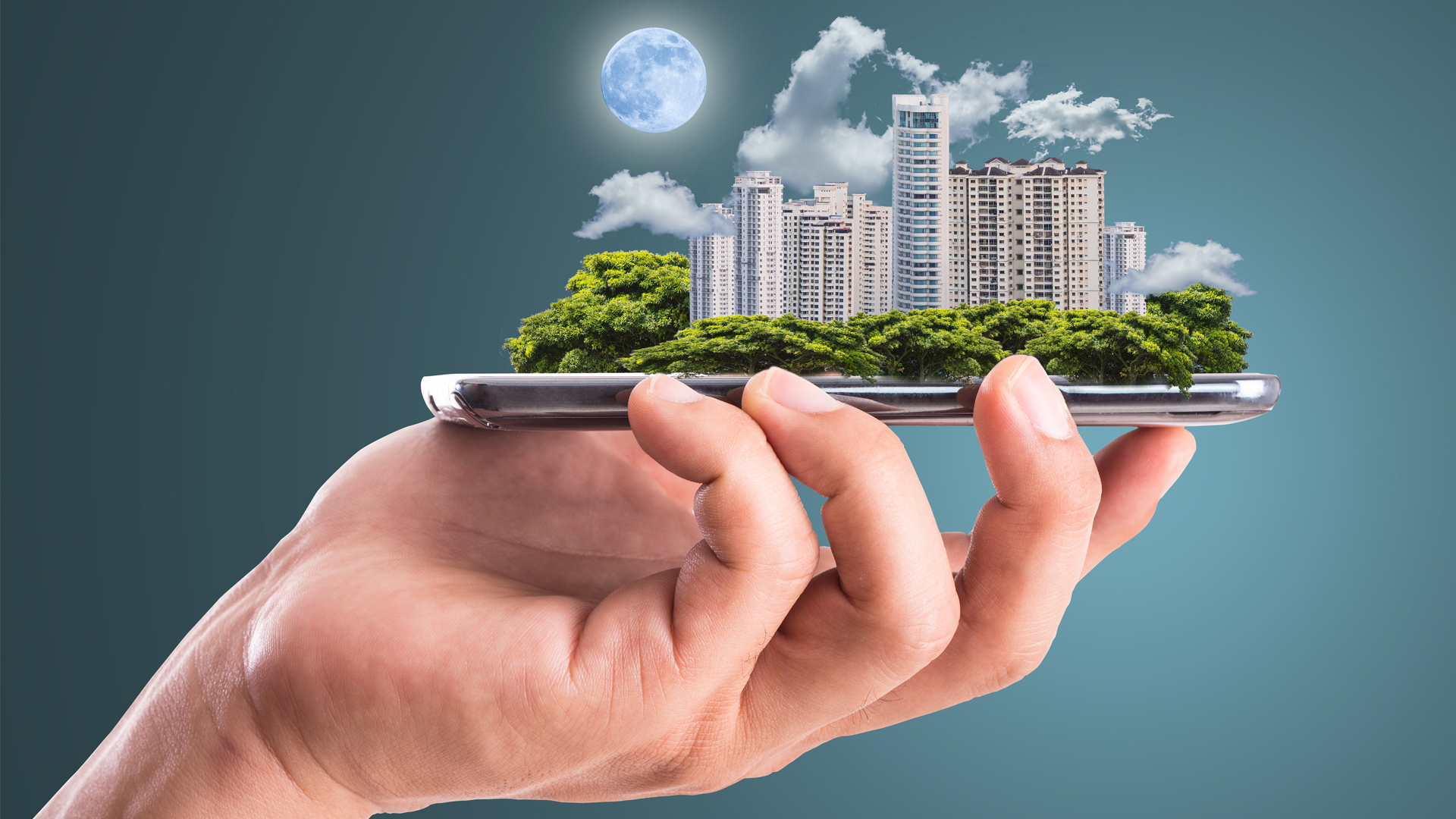 Professional Real Estate Agent in Fort Mill