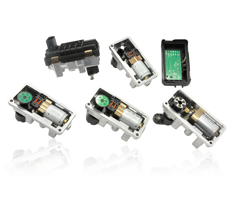 Scientific studies revealed that between 10 and 20 percent