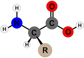 Amino Moulding Plastic Market Size, Status, Growth | Industry Analysis Report