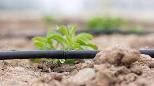 Drip Irrigation Market Size, Drivers, Restraints Challenges, and Growth Opportunities Till 2027