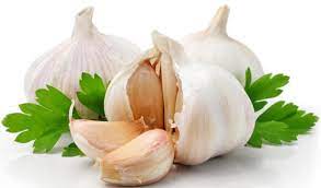 Allium Sativum Bulb Extract Market Share, Trends, Product Estimates & Strategy Framework To, 2021-2026