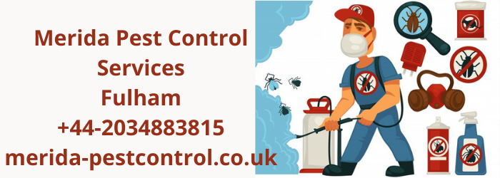 Parasite Control Fulham-- Depend Upon USA For All Pest Control Troubles: A Quick And Also Reliable Option Assured