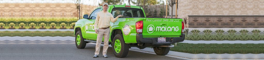 Things to Consider Before Choosing a Pest Control Company