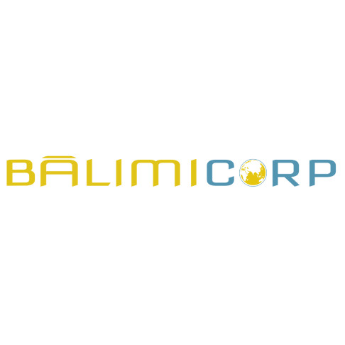 Digital Marketing | Design and Web Development Services-Balimicorp