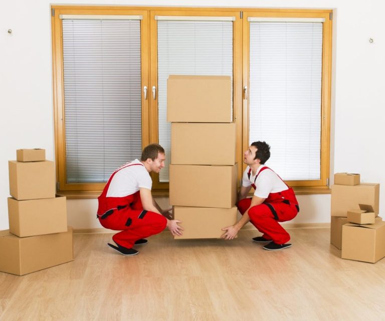 1 ton pickup for rent in Dubai