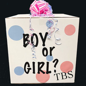 Baby Shower decoration
