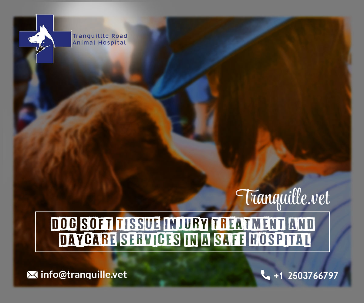 Visit our veterinary clinic kamloops for checks up, procedures or surgery