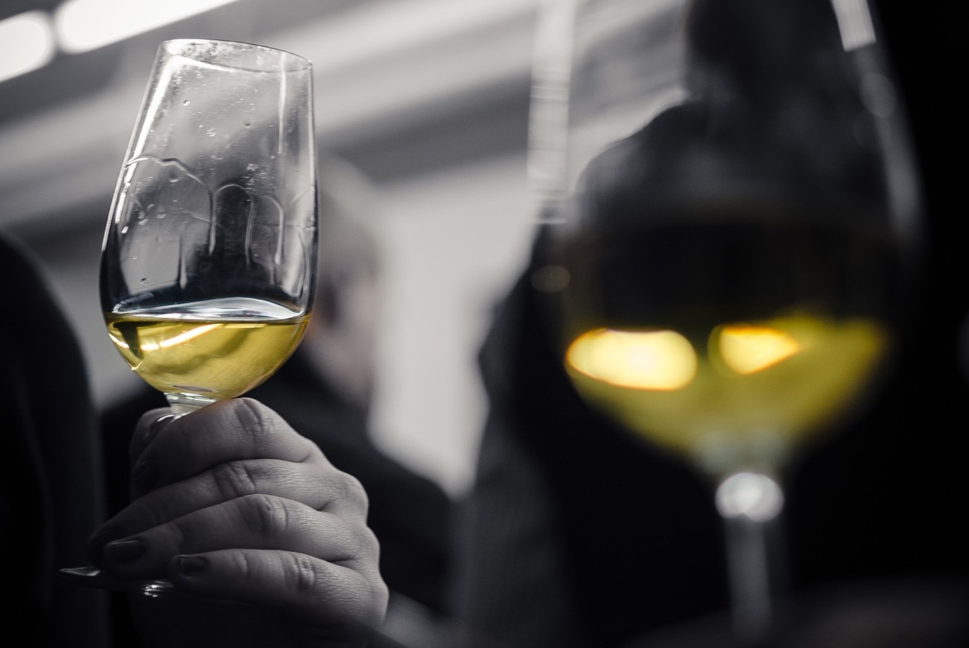 5 Affordable French White Wines