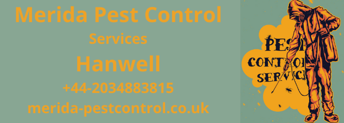 Parasite Control Hanwell-- Fed up Of Insects And Thinking About A Bug Free House: We Can Assist