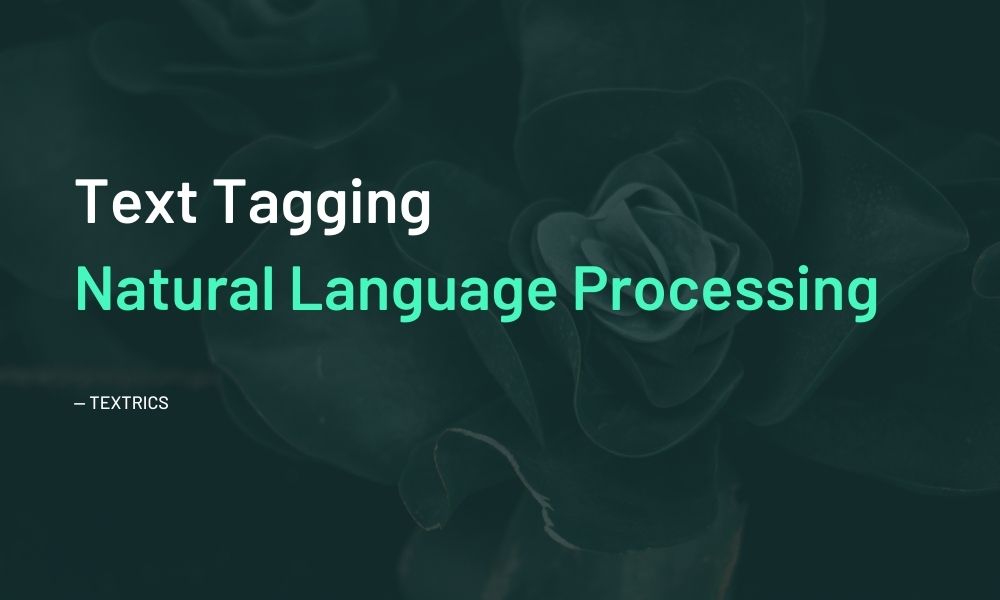 India’s best Text Tagging Software