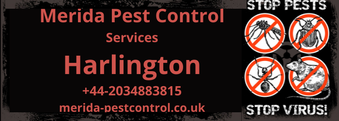 Insect Control Harlington-- We Assist To Remove Parasite Invasion In Residential And Commercial Residential Property