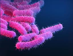 Nafamostat Mesylate Market Technology, Key Manufacturers Report 2020-2028.