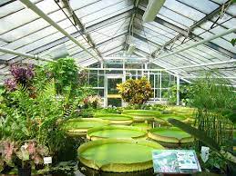 Commercial Greenhouse Market Analysis, Trends & Outlook Report 2022-2028
