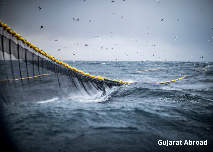 Pakistani fishermen's boats enter Indian Territory 