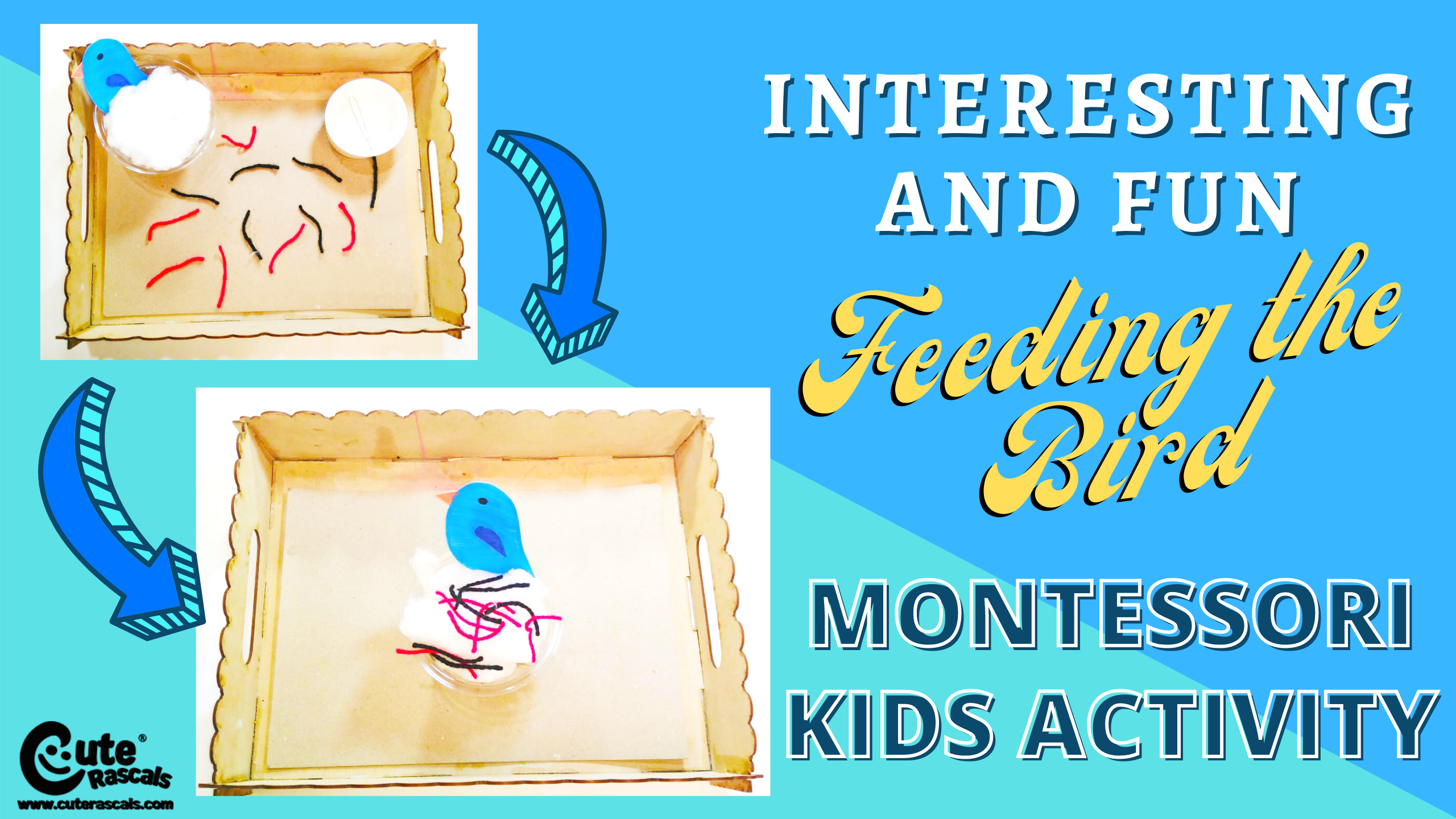 Butterfly Transformation Craft | Butterfly Crafts For Kids | Cute Rascals