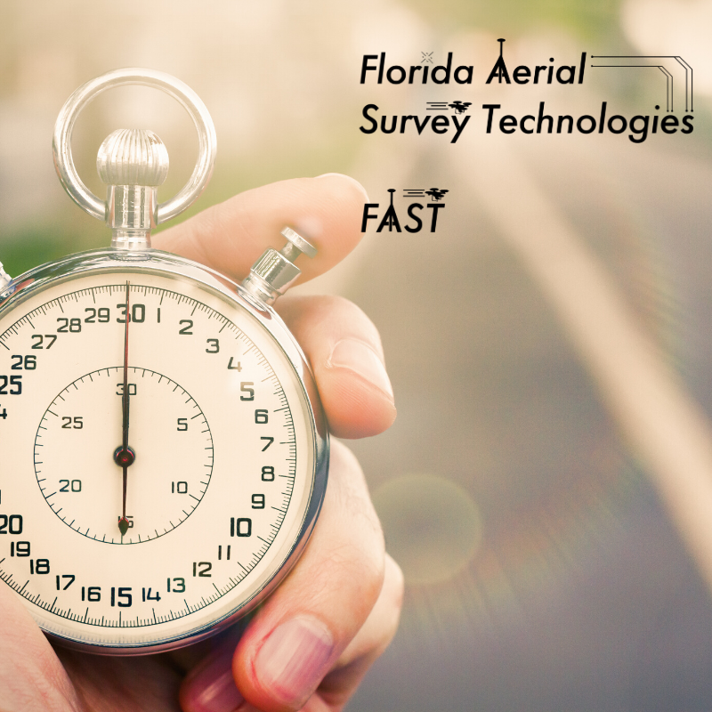 What do you mean by Topographical surveys?