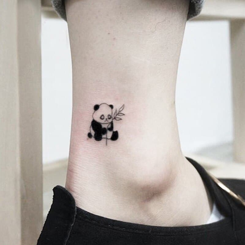 Giấc Mơ Về Ý Nghĩa Hình Xăm Gấu