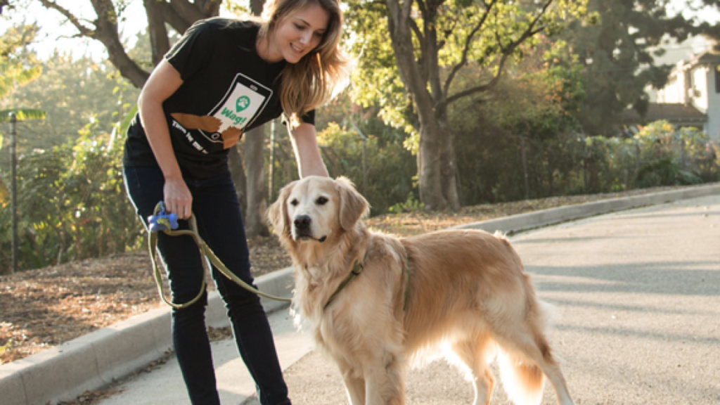 Get Succeeded By Developing An Uber For Dogwalkers App