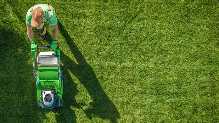Thriving on a Budget: Where to Find Quality, Budget-Friendly Lawn Services
