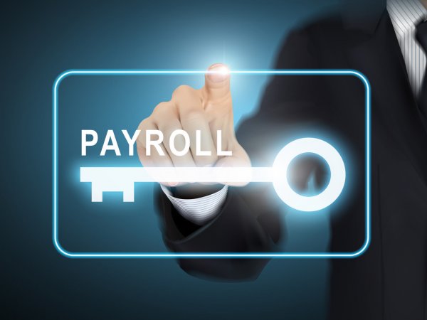 Payroll Software India