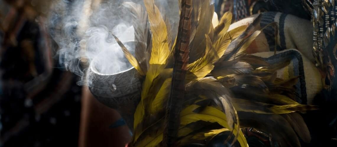 What is San Pedro & How Can it Transform Your Life? – Dadirria