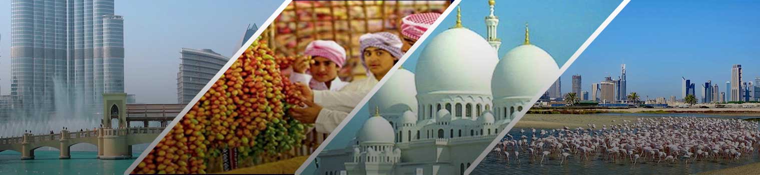 Dubai tour packages from Pakistan