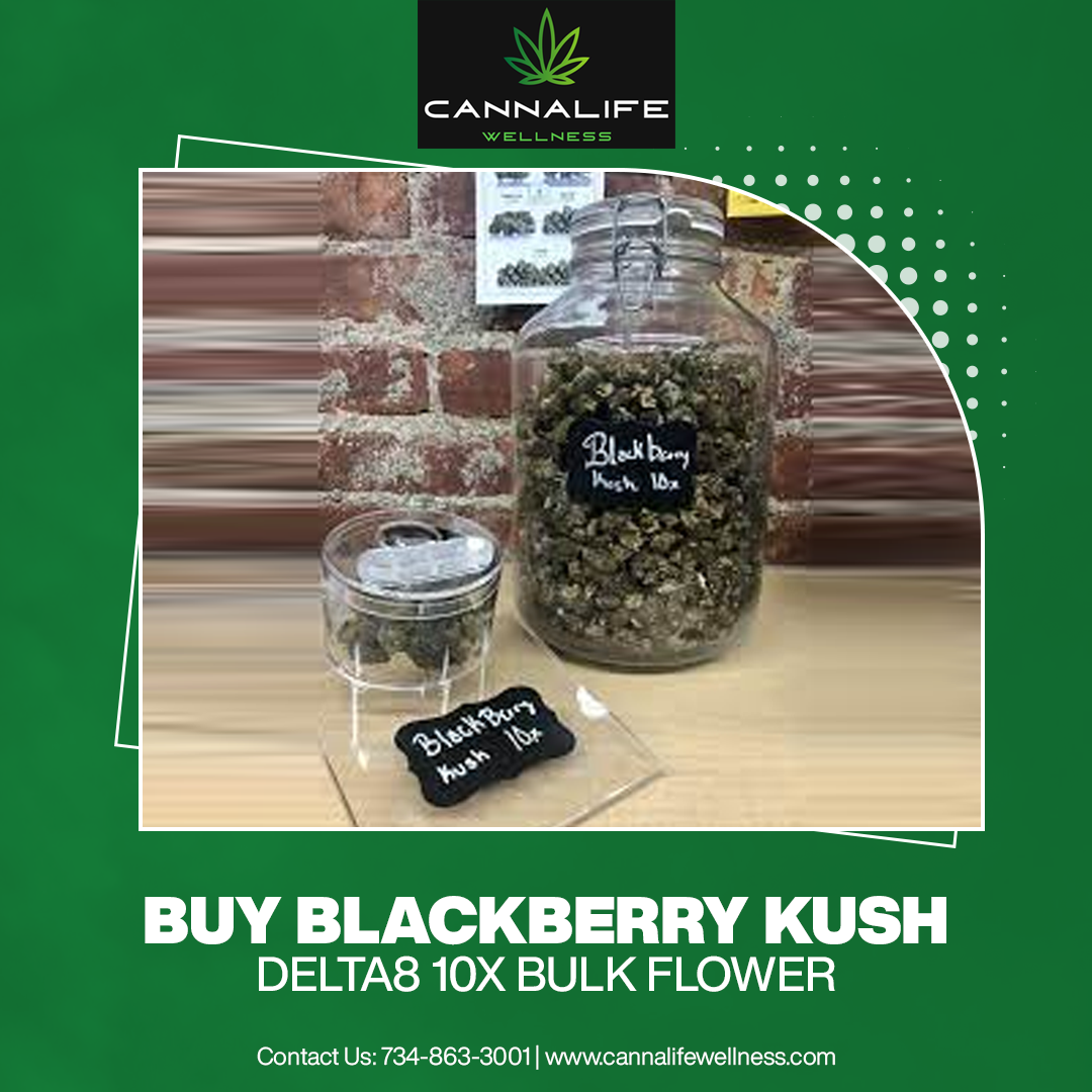 Buy Blackberry Kush Delta8 10x Bulk Flower