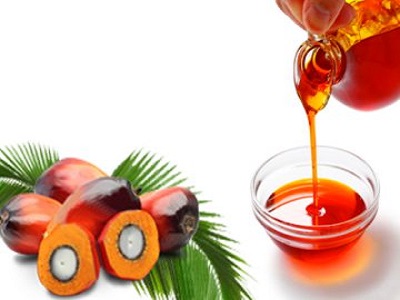During the third quarter of 2023, the North American Palm Oil prices