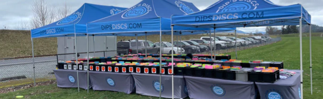 How can dips discs improve bodyweight exercise variations?