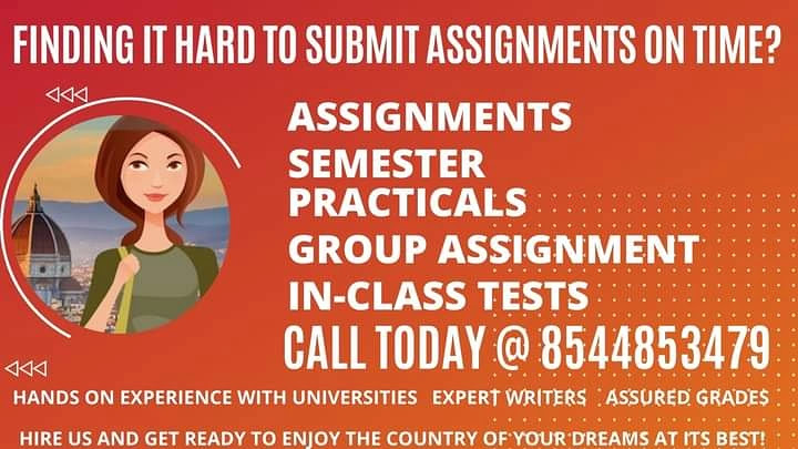 Assignment Writing