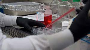 Global In-Vitro Toxicology Testing Market Report, Latest Trends, Industry Opportunity & Forecast to 2027