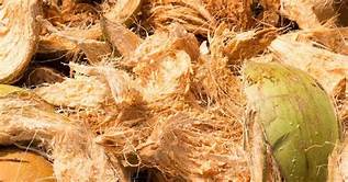 Global Coco Coir Market 2021: COVID-19 Impact Analysis and Industry Forecast Report, 2027