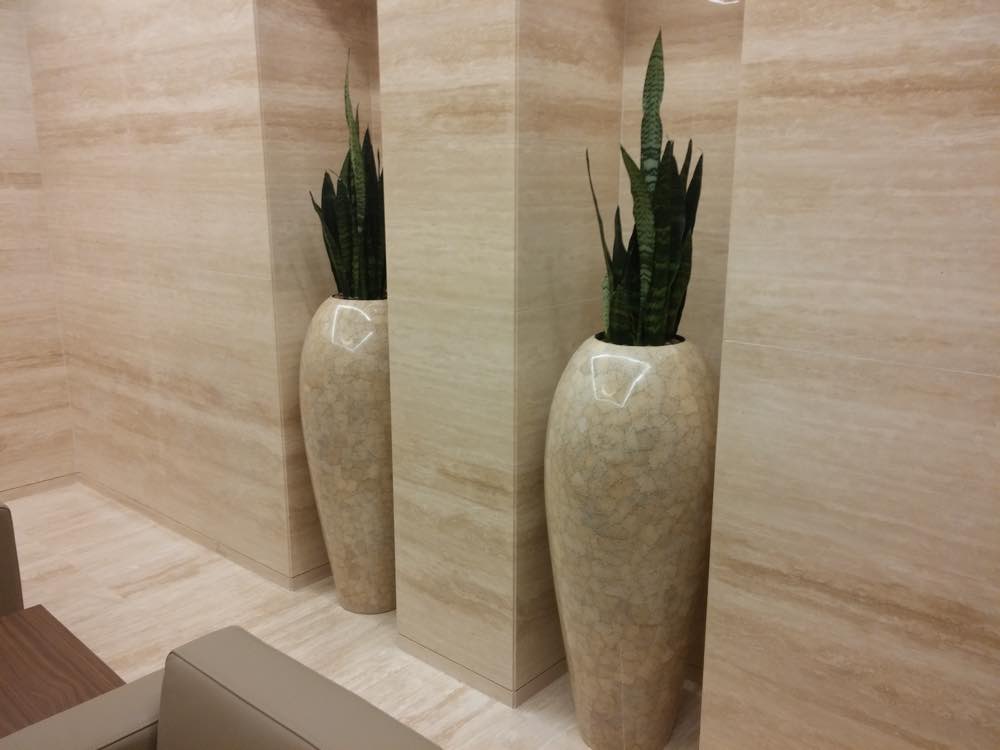 Plant Pots - Plants Design, UAE
