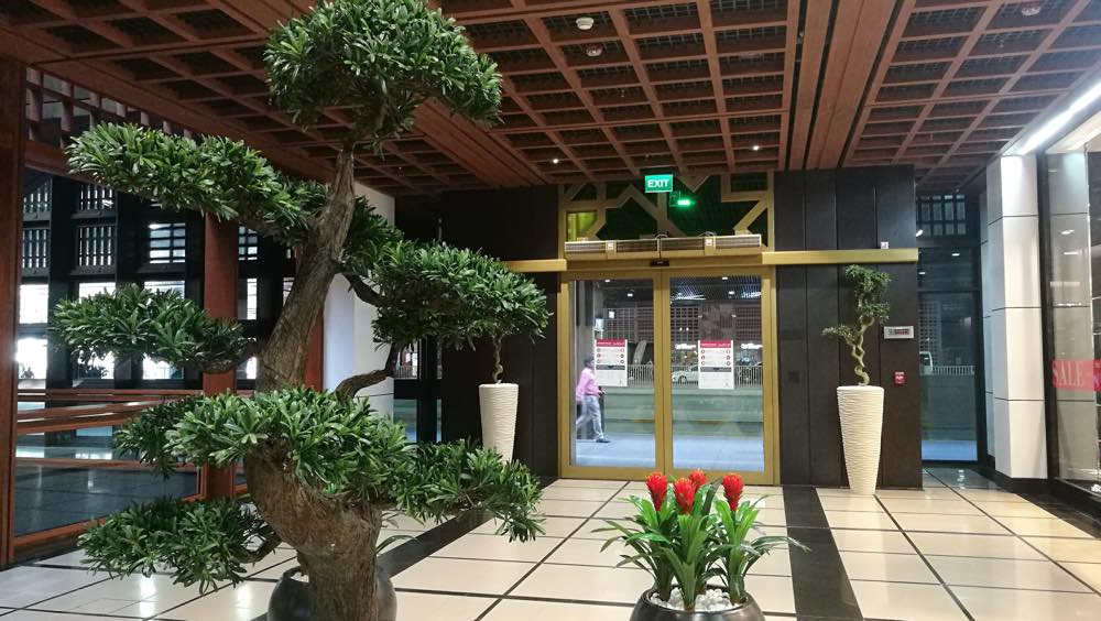 Artificial & Preserved Plants and Trees - Plants Design, UAE