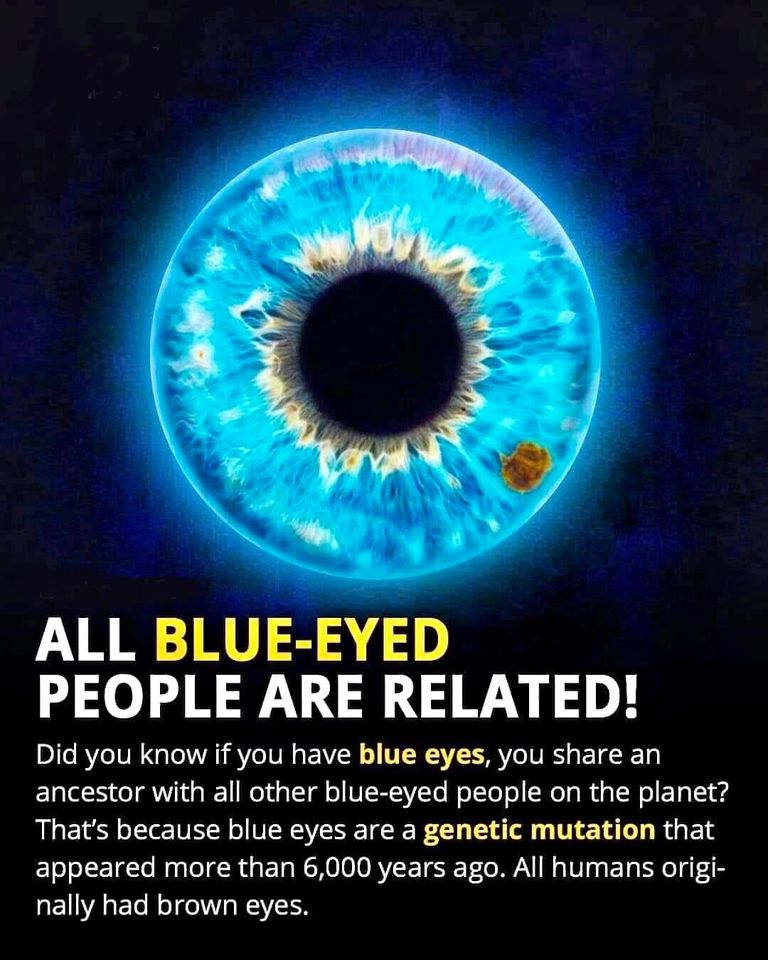 Blue Eyed People — Meg Wolff