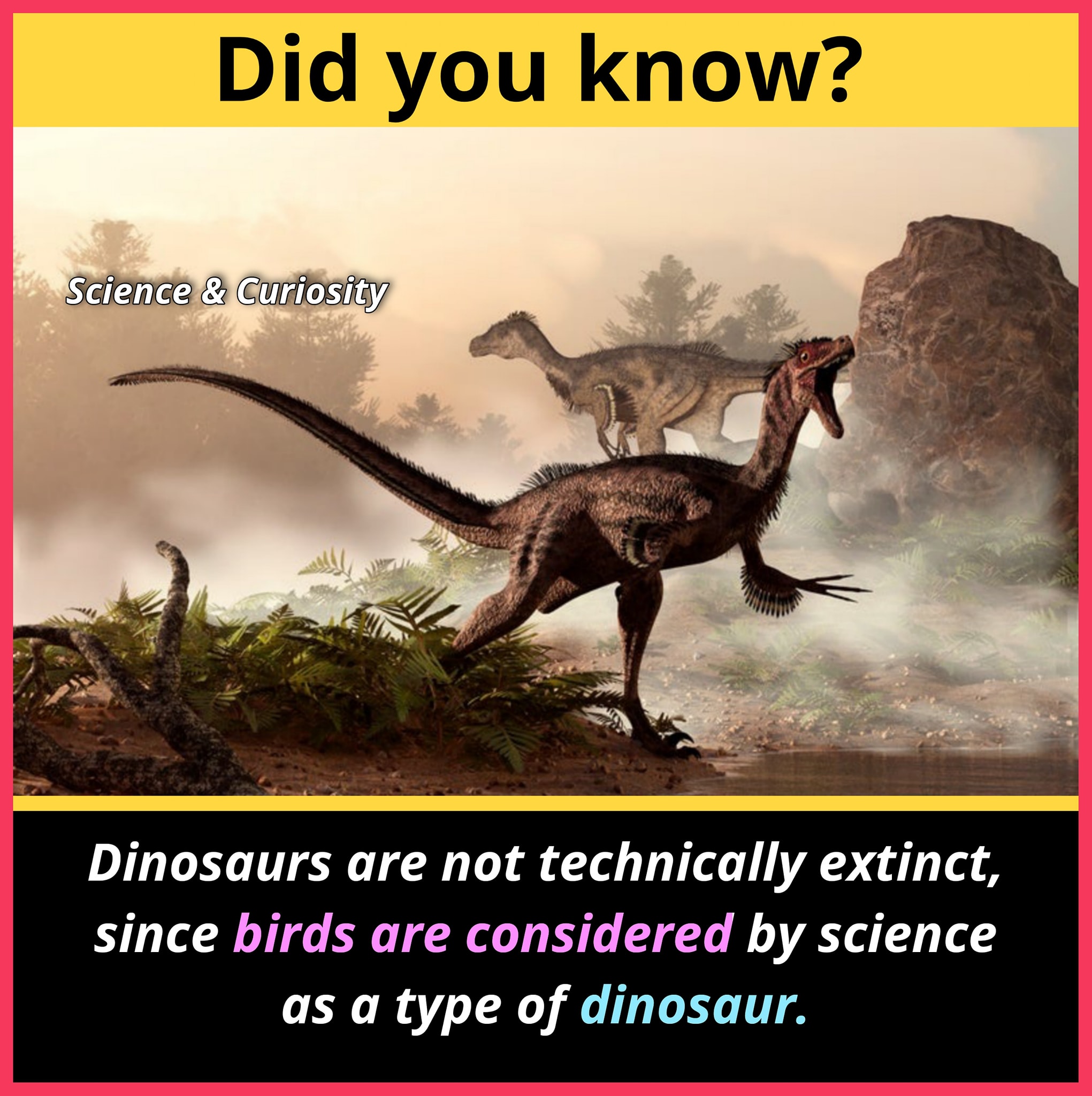 Dinosaurs and Birds — Meg Wolff