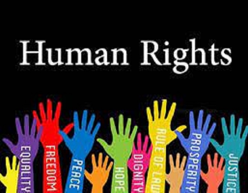 Basic Human Rights — Meg Wolff
