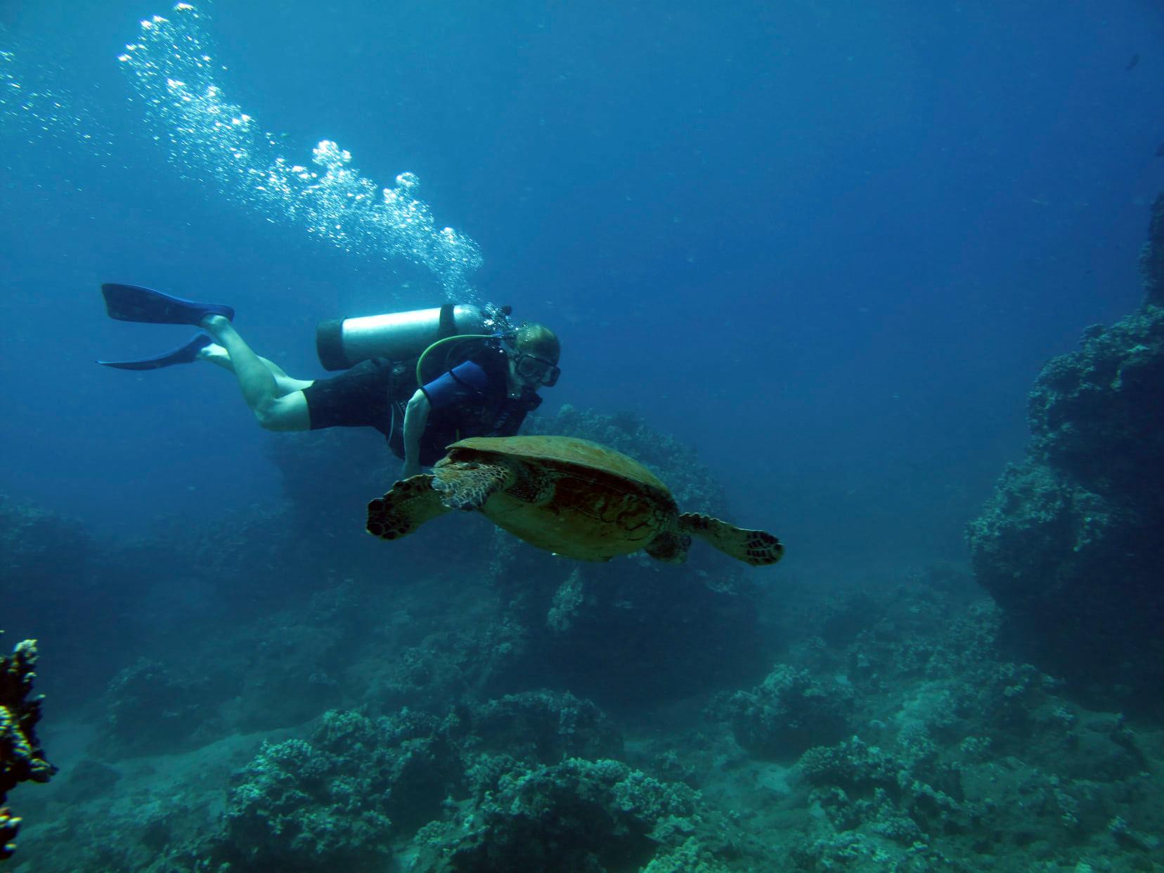 Meg Wolff Scuba Diving