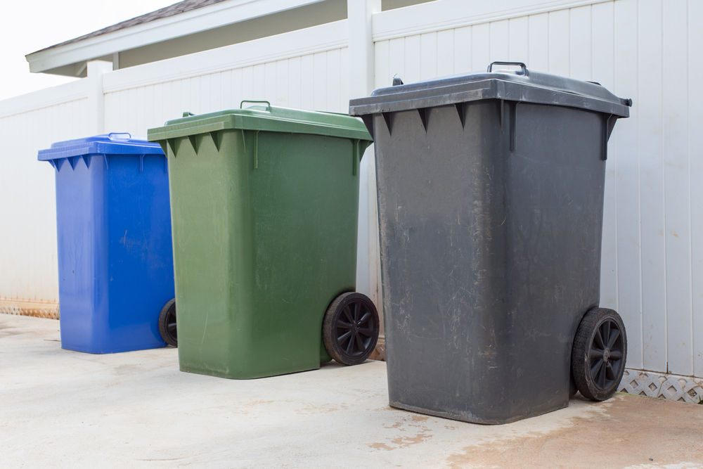 Why Do We Need to Clean Wheelie Bins Near Our Living Areas?