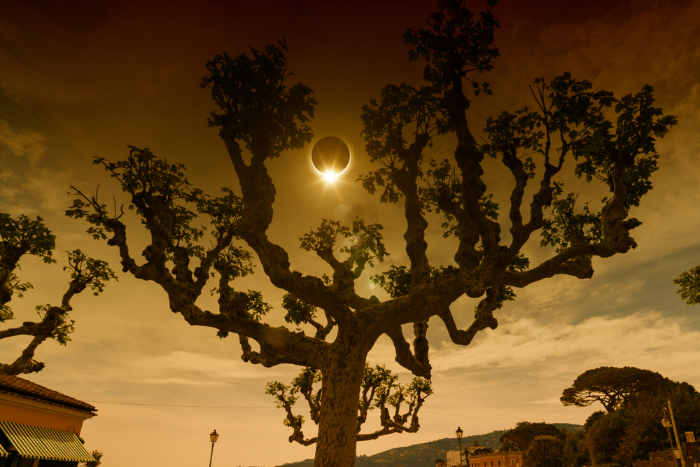 Chasing Eclipse with Eclipse Traveler