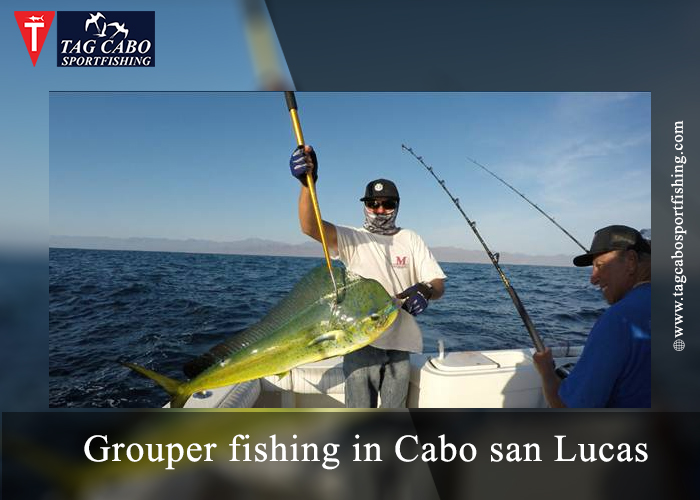 Grouper fishing in Cabo san Lucas