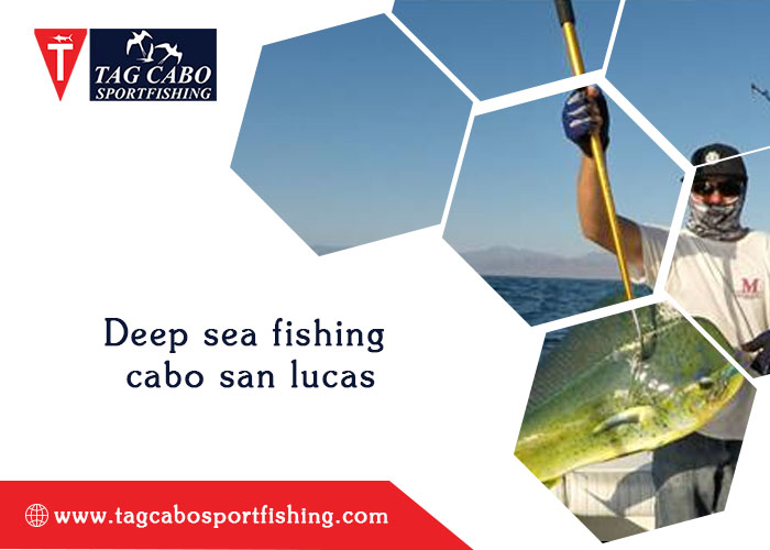 deep sea fishing cabo san lucas